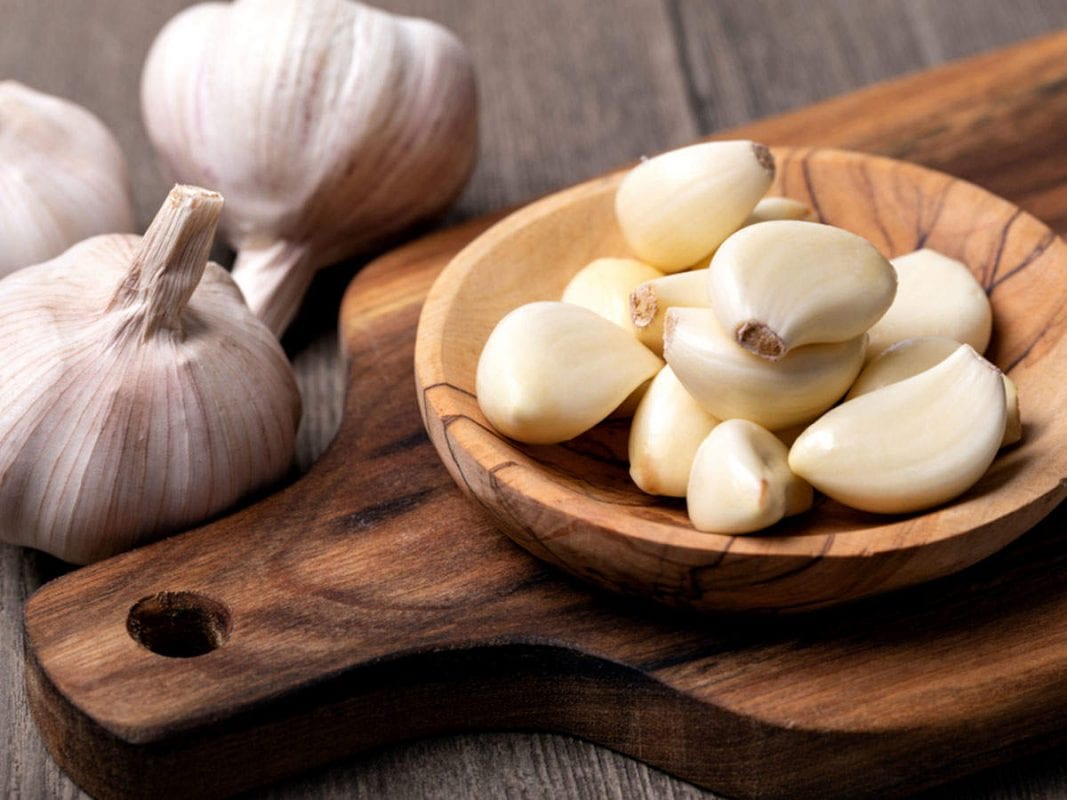 garlic on display