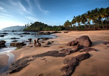 a beach in Goa India